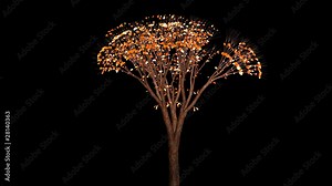 Beautiful tree growing and flowing in the wind, Alpha