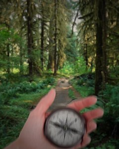 17 comments | Need a compass when it comes to your electricity usage? Our app can help keep you on track with usage trends, budget alerts and more. Get it in the app store today. | TXU Energy | Facebook