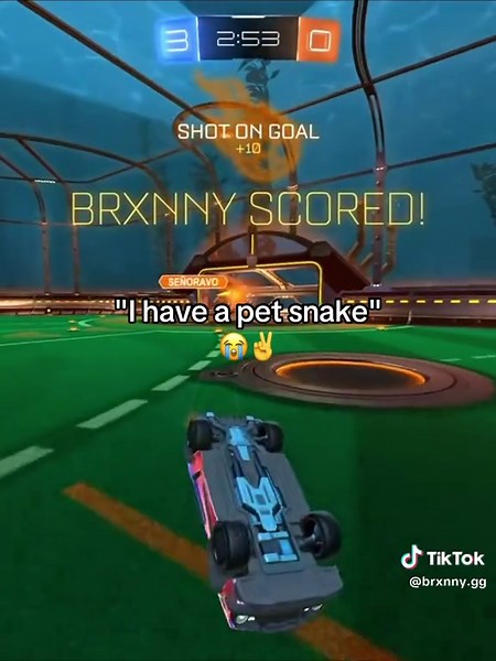 Bros never getting a girl 😭 #brunny #fyp #funny #bro #xyzbca | pet snake
