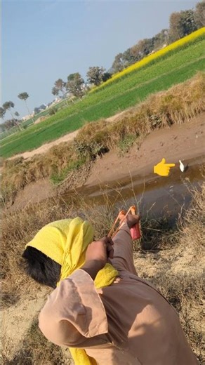 unbelievabl cattle egrat hunting with handmade Slingshot #birds hunting #birds shot #trending