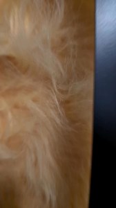 1.8K views · 88 reactions | Freedom Call Official on Reels | Facebook