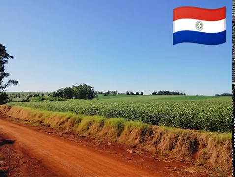 LOS NUEVOS GENIAL DE YUTY