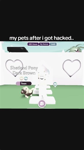 My Pets After Being Hacked in Adopt Me