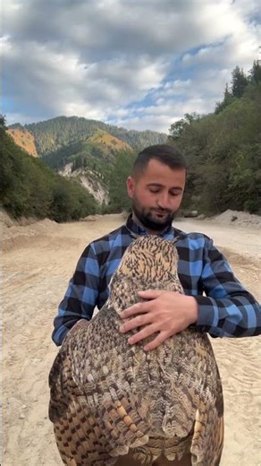 Holding A Giant Owl Up Close | Owl And Human Connection - CreatureCops