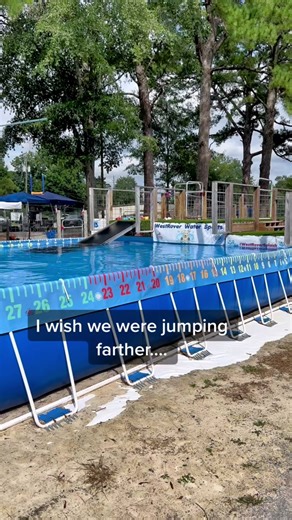 Raven the Aussie on TikTok