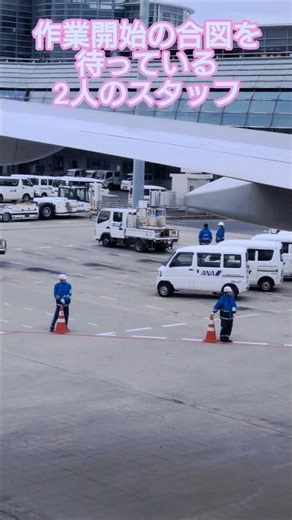 [Short Ground Handling Video] 🥝 Two staff members waiting for the signal to begin work! One staff me
