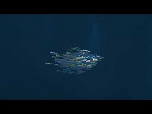 Blender l School of Fish l Boid Simulation in Blender