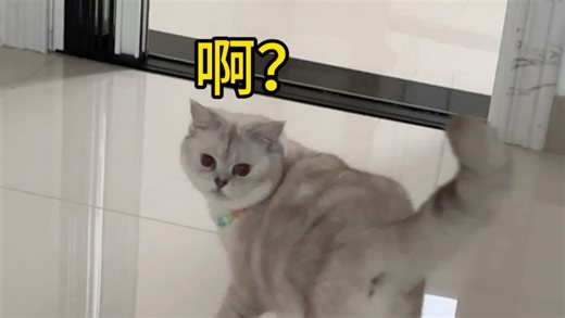 这糟糕的名字啊