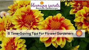 1.3K views · 31 reactions | SEE OUR 6 TIME-SAVING TIPS FOR FLOWER GARDENERS | Blooming Secrets | Facebook