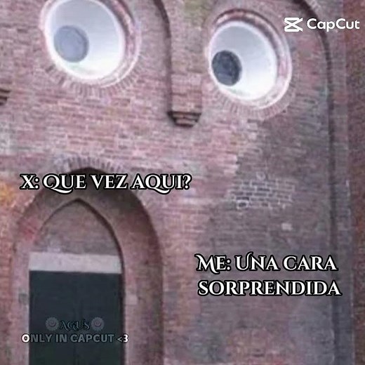 si tengo okey? #memes #humor