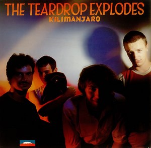 The Teardrop Explodes - Kilimanjaro
