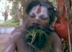 転がりながらインドを縦断、厳しい苦行を続けながら人々の平和を願うインドのローリング聖人「Lotan Baba」 | カラパイア