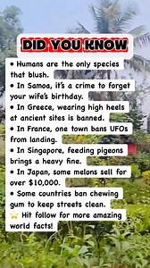 Strangest Laws From Around the World! #facts | Devlop Express