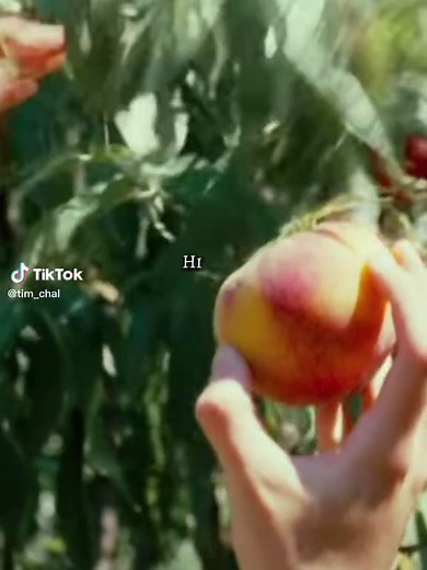 Justice for Brittany: Timothée Chalamet Peach Scene Explained