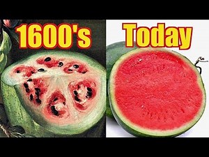 How Fruits & Vegetables Evolved Over Centuries of Agriculture