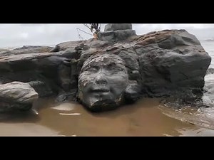 Permineralized Enormous Ancient Creatures Unearthed