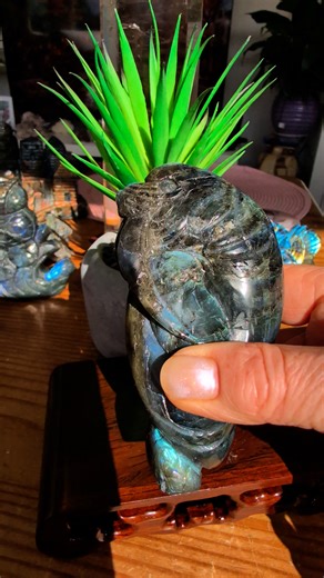Labradorite Walrus 360 grams $135 On sale $105 | Ree's Bazaar Crystals | Facebook