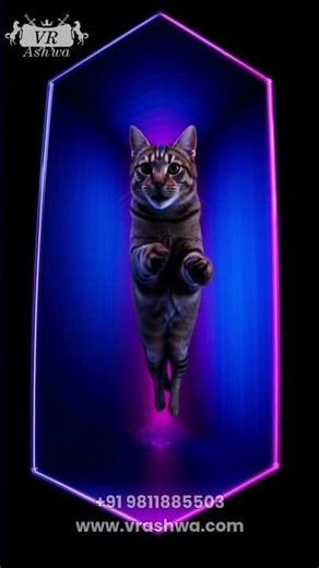 Not a Screen… It’s an Illusion 😱 | 3D Anamorphic Video Wall #cat #shorts #viral