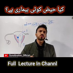 870K views · 16K reactions | حیض کی حالت میں جسم کے اندر ایک نظامِ عمل جاری ہوتا ہے، اور یہ کئی حد تک زرخیزی کی علامت بھی ہے۔ پورا لیکچر دیکھیں۔ The Mechanism of menstrual cycle #sunoibrahim | Suno Ibrahim | Facebook
