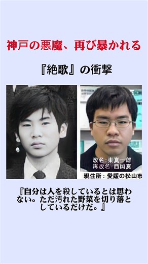 絶歌: 日本の少年犯罪と心理の考察