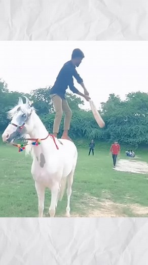 678K views · 10K reactions | Gully Cricket Funny Moments . . . . . #cricket | Tomar Sahab Cricket | Facebook