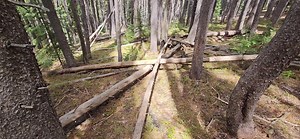 9K views · 376 reactions | Auto Highlights' Sasquatch Highway! Next Video | Colorado Bigfoot | Facebook