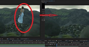 Adobe: Removing Objects from Videos with One Click