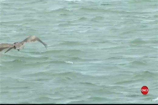 President of the Artists Coalition of Trinidad and Tobago, Rubadiri Victor, says there are 300-plus Trinidad-style carnivals around the world, all of which earn over $15 billion annually. He says Trinidad Carnival is the most successful export this country has ever created, but unfortunately, the working-class people who created it are not benefitting economically from their creation as they should. He also tackled the issue of "the soca mafia". Here’s more from his interview on today’s edition