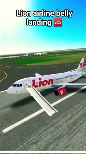 Lion airline Belly Landing 🆘️... #aviation#crash#emergency#lionaircrash#flightsimulator#landing