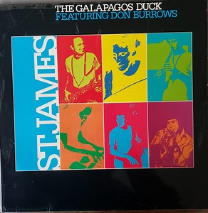 The Galapagos Duck - St. James