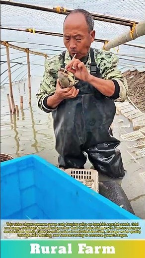 Sanmen Green Crab Farming: The Ultimate Guide to Successful Aquaculture