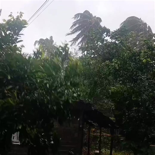 Ituloy mo ang laban song by: Freddie aguilar with lyrics | Jaizer Nathan tv