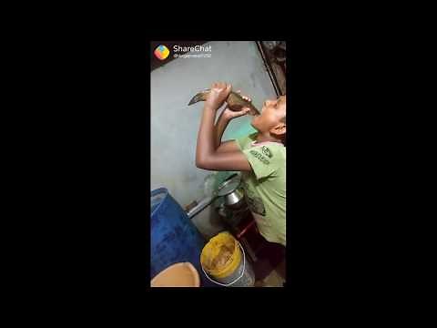 Boy eats alive fish whole