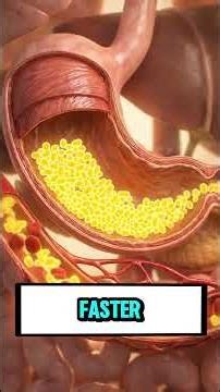 What Happens Inside Your Body When You Eat Bread? (Science Explained)#sciencefacts#healthtips#bread