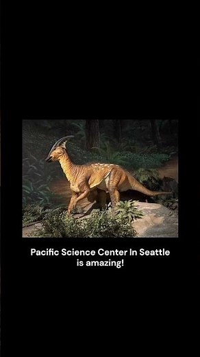 Pacific Science Center in Seattle is amazing!