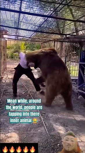 Man vs Wild Bear – Real Survival Fight in the Jungle 🐻💥 #shorts