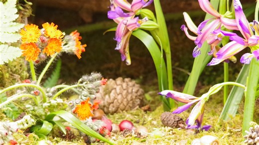 Stumpy the tailless mouse foraging in the garden flowers . | George the Mouse in a log pile house