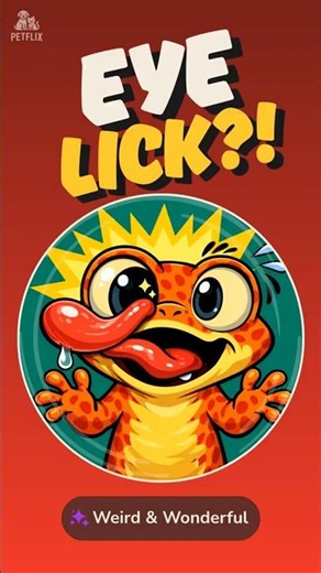Geckos Lick Their Own Eyeballs… Here’s Why