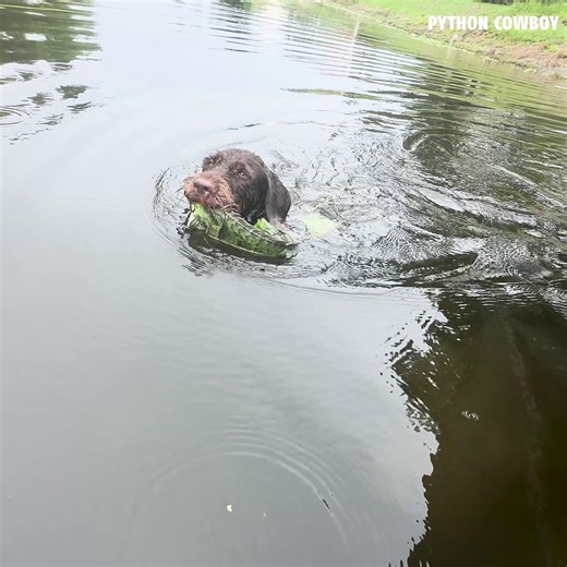 Nothing more rewarding than removing invasive species and having my daughter, Clementine, out here helping. Good lessons, good work, good memories.