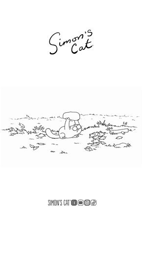 Simon's Cat | Bugged Out | Instagram