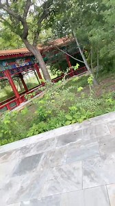 移动111的直播回放