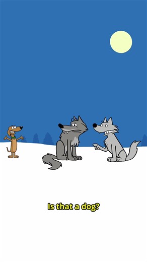 Dogs and wolves technically share like 99.9% DNA #animation #fyp #comedy #dogsoftiktok #cartoon