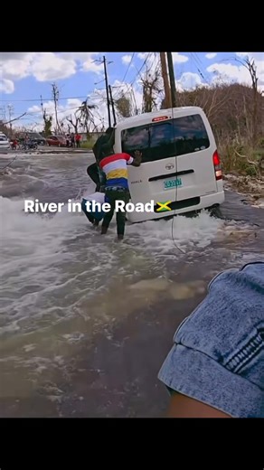 6.2K views · 23 reactions | Bus got stuck! | Carla Bee | Facebook