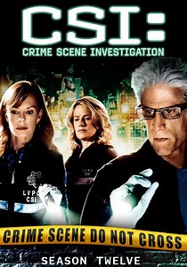 CSI: Crime Scene Investigation Season 12 - streaming online