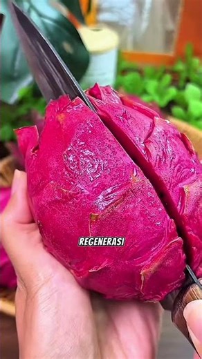 Konsumsi buah ini agar tetap sehat #pertanian #tipsberkebun #petanimodern #fyi #berkebunbuah