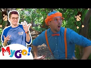 Blippi goes to Phoenix Zoo! | Blippi | MyGo! Sign Language For Kids | Educational Videos For Kids