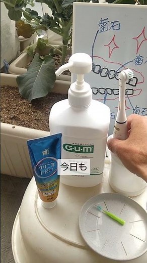 歯槽膿漏で総入れ歯になる事を防ぐためにこうして毎日の歯の手入れをしています