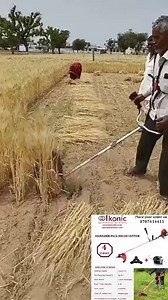 Did you know the brush cutter has a rice harvester attachment??? Call us on 0707414141 #Mwea #rice #brushcutter | Ikonic Agricultural Machines
