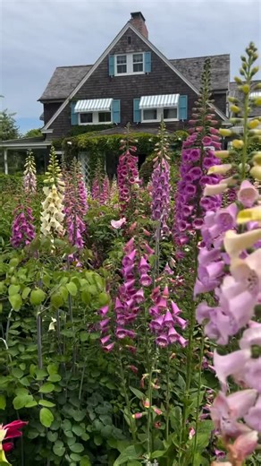 Take a peek inside the beautifully restored Grey Gardens! 🌷This legendary East Hampton estate has been thoughtfully reimagined by entrepreneur @lizlangeofficial, who takes #Homeworthy on an unforgettable tour. As the CEO and Creative Director of @figuelove, it’s no surprise that Liz has infused the home with effortless style and charm. ☀️ Watch Liz’s #Homeworthy tour on HOMEWORTHY.COM!!! #homeworthy #easthampton #newyork #design #gardens #summer #summertour | Homeworthy