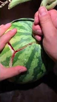 Fresh & Juicy Watermelon 🍉 | Amazing Summer Fruit Benefits